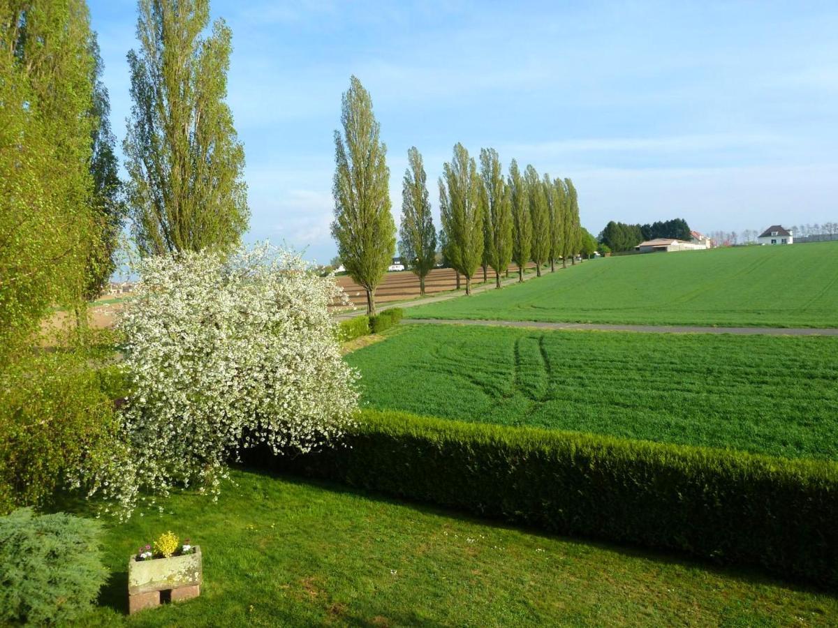 Appartement Charmant A Hochfelden 100 M² Et Parking Gratuit Gottesheim Esterno foto