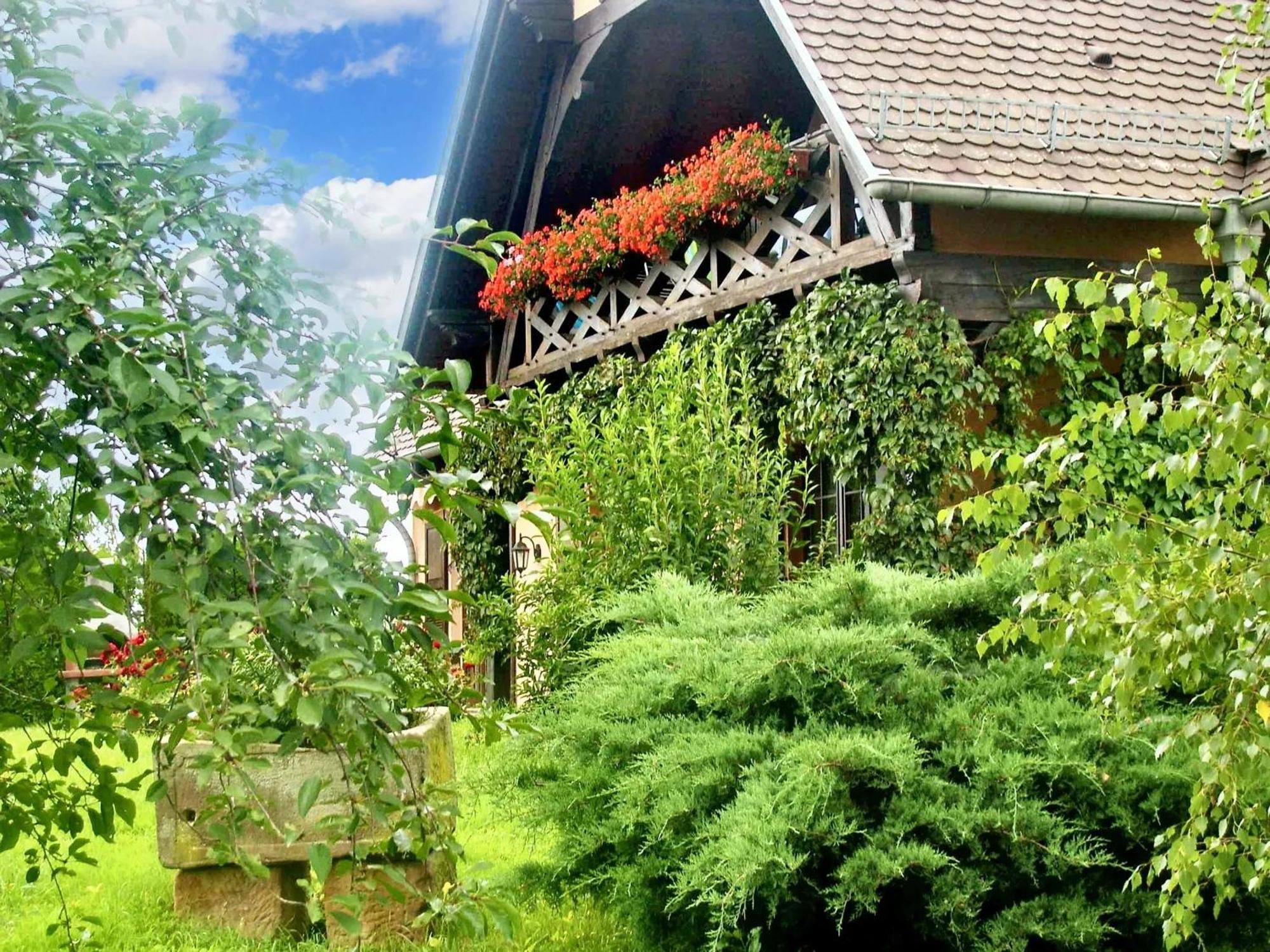 Appartement Charmant A Hochfelden 100 M² Et Parking Gratuit Gottesheim Esterno foto